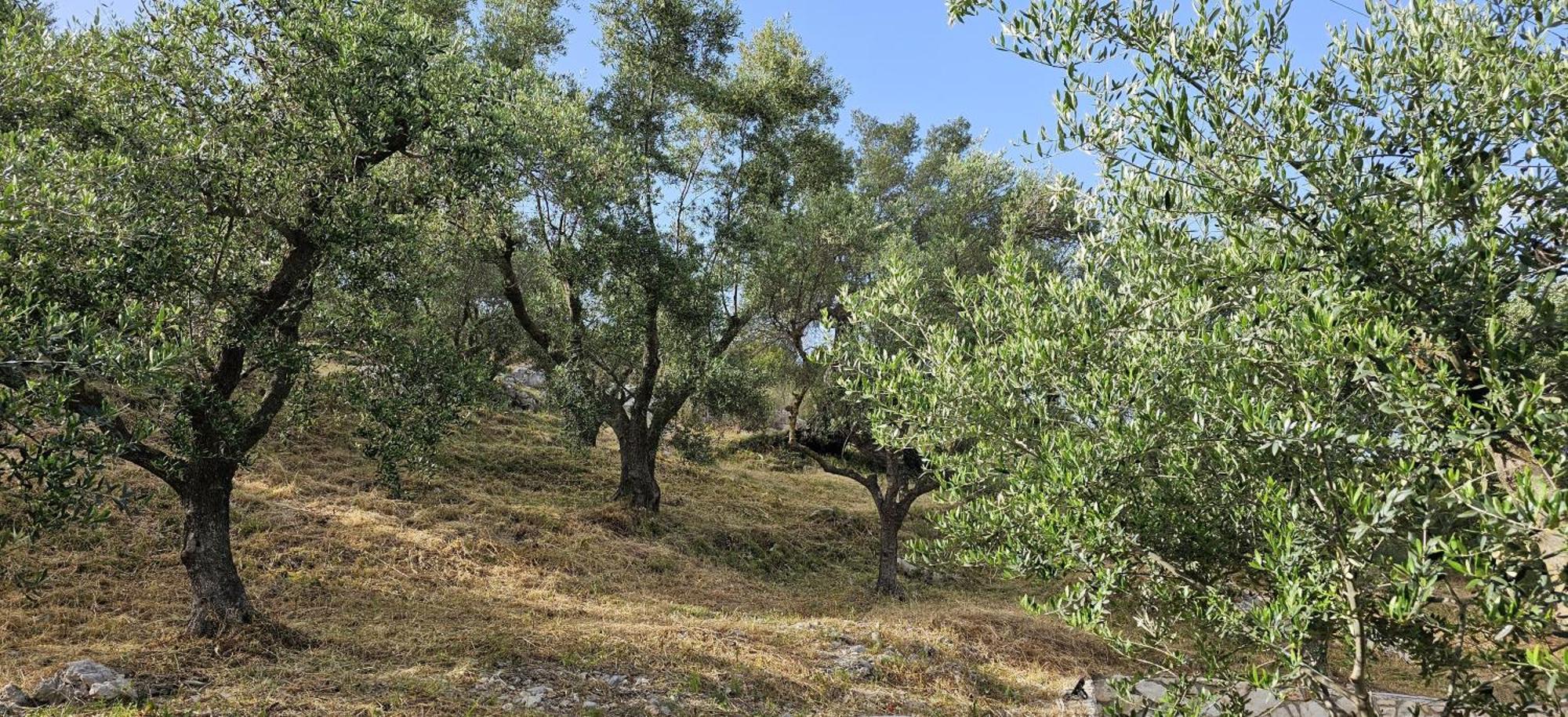 Marathiás Villa Meditation מראה חיצוני תמונה
